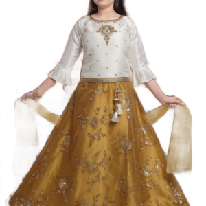 Lehenga- choli