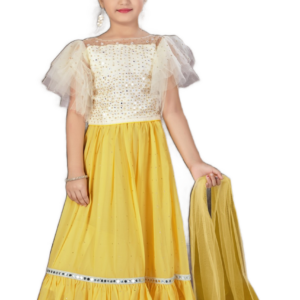 Lehenga- choli