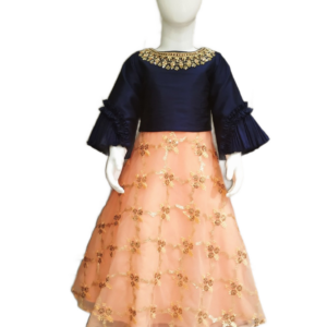 Lehenga- choli