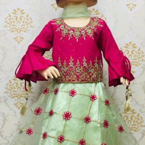 Lehenga- choli