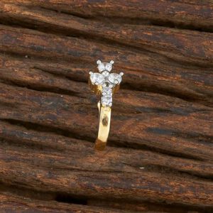 Neusring (Nath)